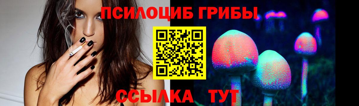 Псилоцибиновые грибы GOLDEN TEACHER  Псилоцибиновые грибы Cubensis  Вход с VPN  Ухта 